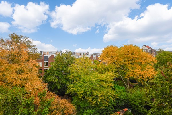 Medium property photo - Nieuwe Kerkstraat 117-3, 1018 VJ Amsterdam